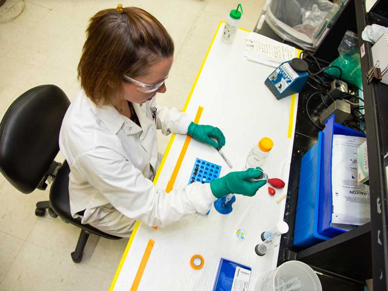 a worker in a lab adding fluid to a test tube