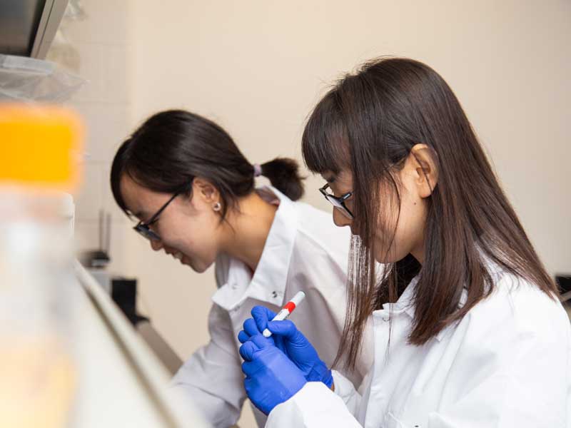 two lab workers laugh and smile while working